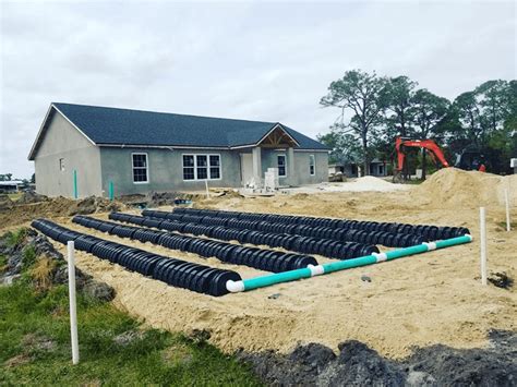 septic drain field filled with roots